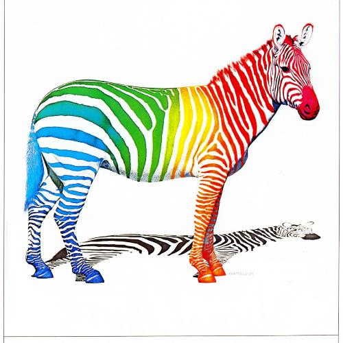 Posters depicts: Realistic illustration of a zebra with rainbow stripes against a white background.