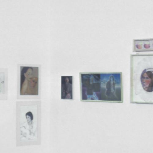 Photographic Materials depicts: Installation view