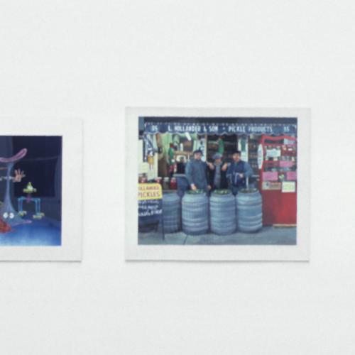 Photographic Materials depicts: Installation view