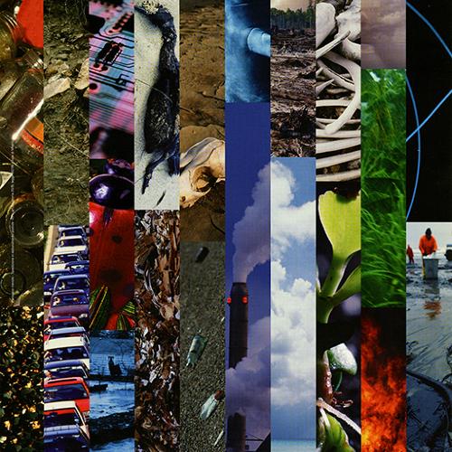 Serial Publications depicts: 10 thin vertical columns of various photographs of people, environments and animals.