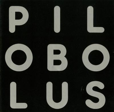 Booklet/Brochure depicts: Letters of the title "Pilobolus" arranged in a 3x3 grid pattern.