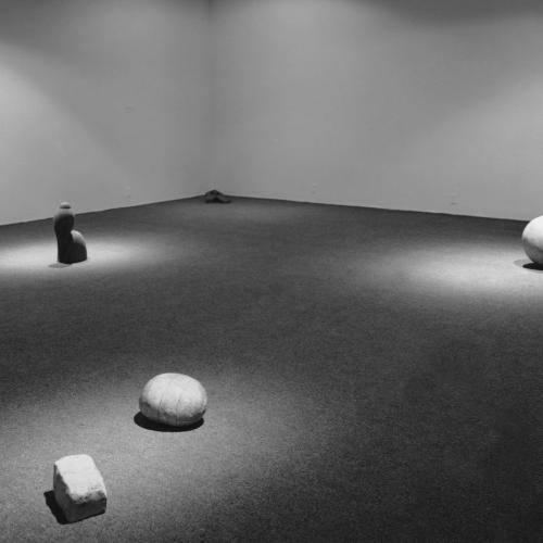 Photographic Materials depicts: Installation view