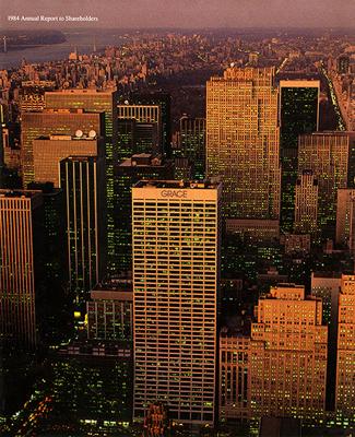 Annual Reports and Corporate Communications depicts: A city skyline at dusk, one of the skyscrapers says "Grace"