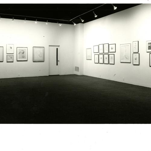 Photographic Materials depicts: Installation view