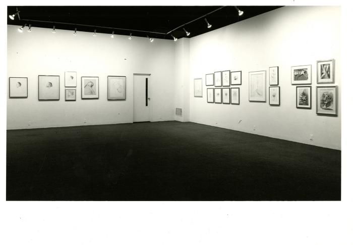 Photographic Materials depicts: Installation view