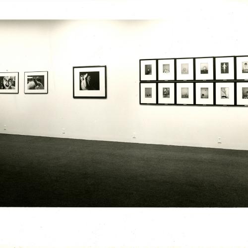 Photographic Materials depicts: Installation photograph