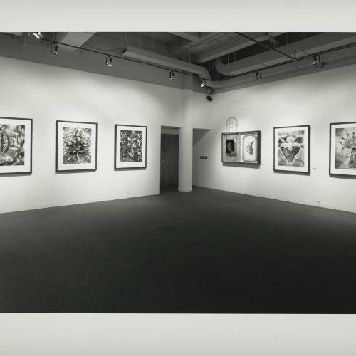 Photographic Materials depicts: artworks installed in gallery