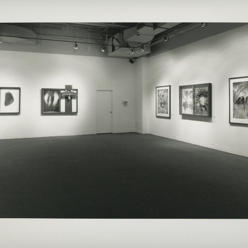 Photographic Materials depicts: artworks installed in gallery