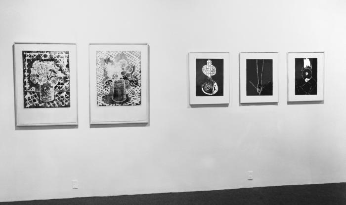 Photographic Materials depicts: Installation view