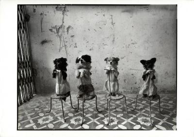 Prints depicts: Cover of announcement with photograph of four dogs on chairs