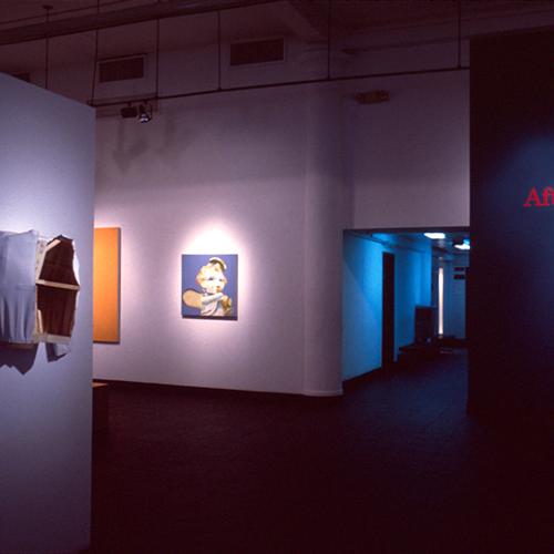 Photographic Materials depicts: artworks installed in gallery