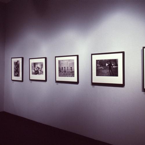 Photographic Materials depicts: artworks installed in gallery