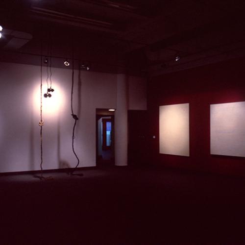 Photographic Materials depicts: artworks installed in gallery