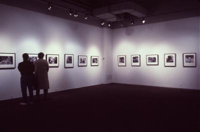 Photographic Materials depicts: artworks installed in gallery