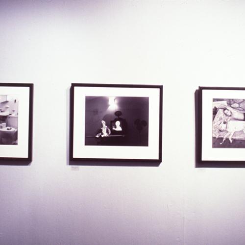 Photographic Materials depicts: artworks installed in gallery