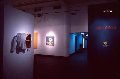 Photographic Materials depicts: artworks installed in gallery