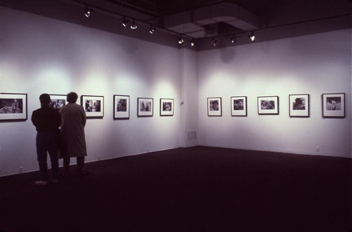 Photographic Materials depicts: artworks installed in gallery