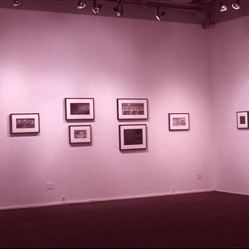 Photographic Materials depicts: artworks installed in gallery