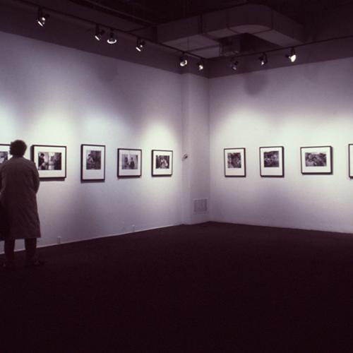 Photographic Materials depicts: artworks installed in gallery