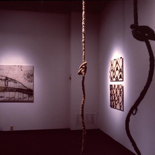 Photographic Materials depicts: artworks installed in gallery
