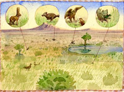Original Art depicts: Illustration of a field with a pond and a tree and a mountain in the background. The field has several animals, with arrows pointing at zoomed-in versions of a hare, a coyote, a bird of prey and a furry animal, and a squirrel in circles at the top of the image.