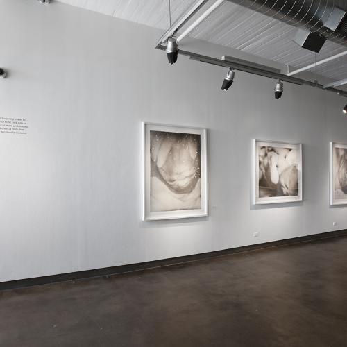Digital Files, Photographic Materials depicts: artworks installed in gallery