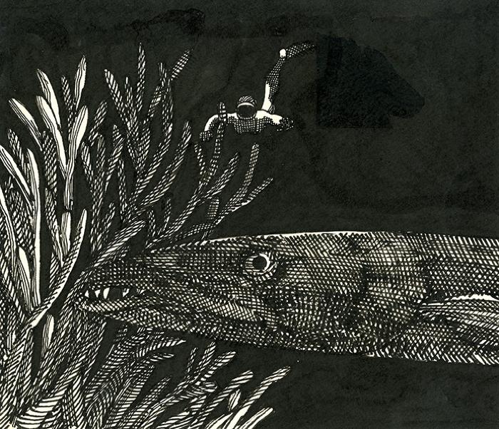 Original Art depicts: cross hatched drawing of fish swimming into sea kelp
