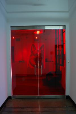 Digital Files depicts: exhibition installation photograph