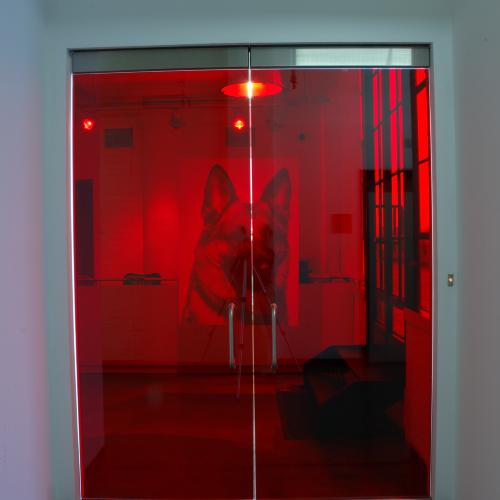 Digital Files depicts: exhibition installation photograph