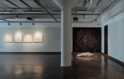 Digital Files, Photographic Materials depicts: exhibition installation photo