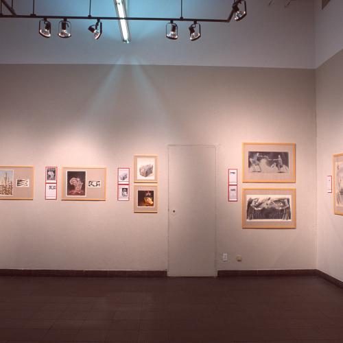 Photographic Materials depicts: Photographs of interior of gallery during Picturing the Times exhibitions