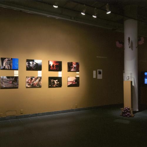 Photographic Materials depicts: photograph of artworks installed in gallery