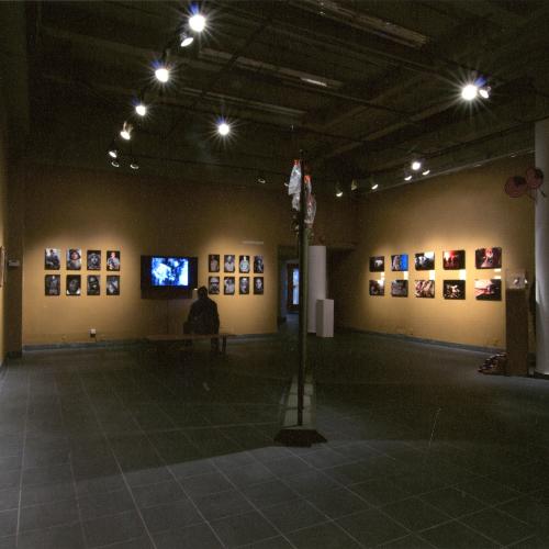 Photographic Materials depicts: photograph of artworks installed in gallery
