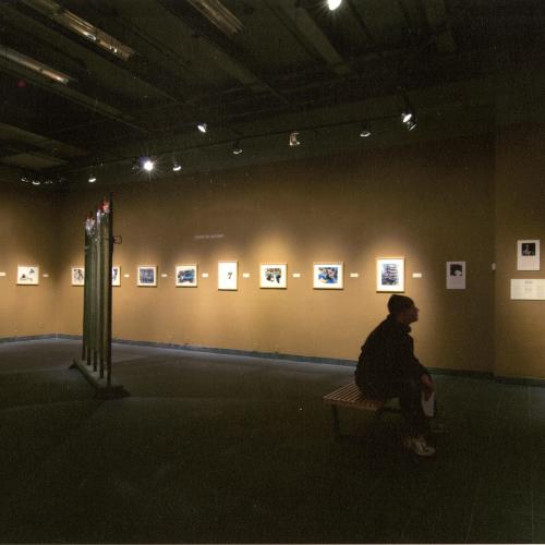 Photographic Materials depicts: photograph of artworks installed in gallery