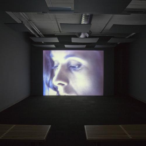 Photographic Materials depicts: artworks installed in gallery