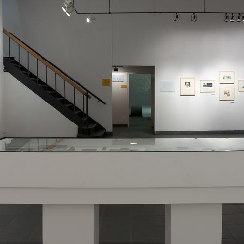 Digital Files, Photographic Materials depicts: exhibition installation photograph