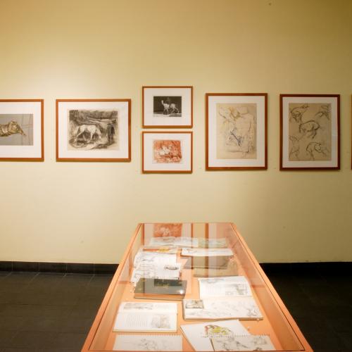 Digital Files, Photographic Materials depicts: exhibition installation photograph