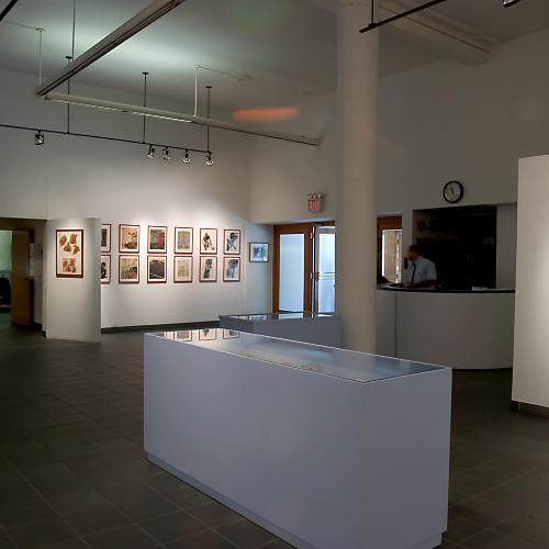 Digital Files, Photographic Materials depicts: exhibition installation photograph