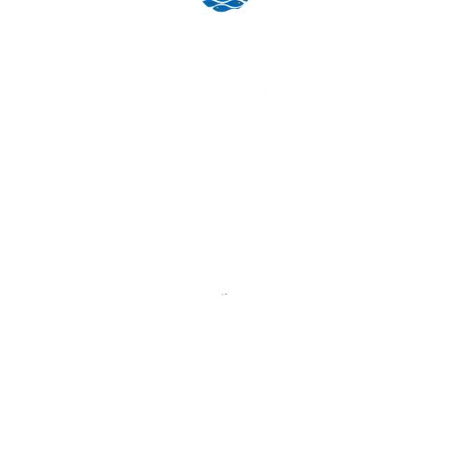 Letterheads/Stationery depicts: Letterhead with a blue logo of a circle with a fish pattern inside. The fish have yellow eyes and there is text at the bottom of the letterhead.