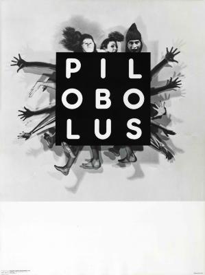 Posters depicts: Black and white image of a large black square with white text that reads "Pilobolus", and three faces in different costumes coming out of the top. There are many arms coming out of the left and right sides of the square, with many feet coming out of the bottom.