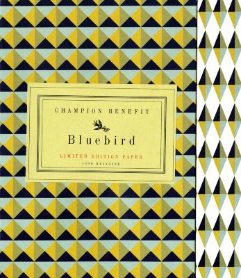 Three-Dimensional Objects depicts: mint green, yellow and black triangles printed in a geometric pattern