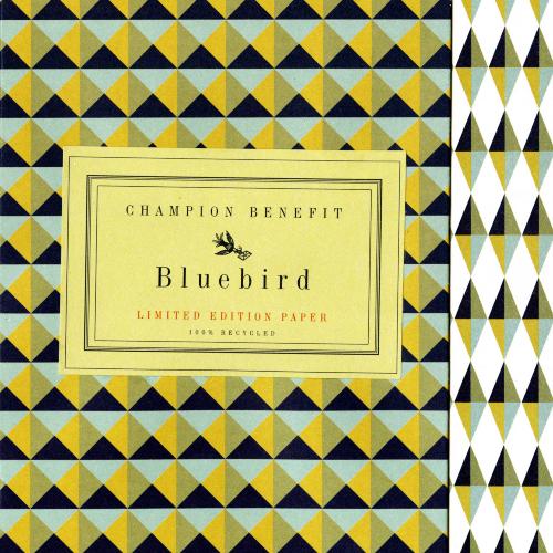 Three-Dimensional Objects depicts: mint green, yellow and black triangles printed in a geometric pattern