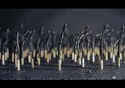 Posters depicts: rows of burnt matchsticks arranged as if they are burnt trees in a forest
