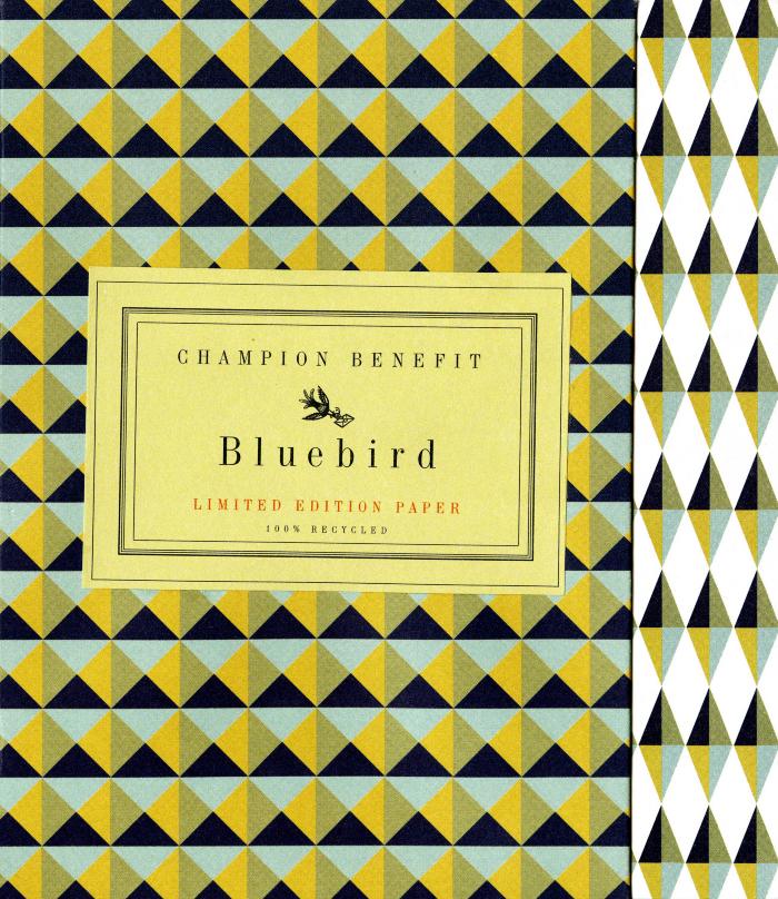 Three-Dimensional Objects depicts: mint green, yellow and black triangles printed in a geometric pattern
