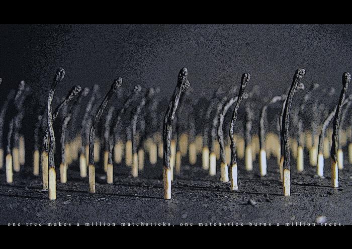 Posters depicts: rows of burnt matchsticks arranged as if they are burnt trees in a forest
