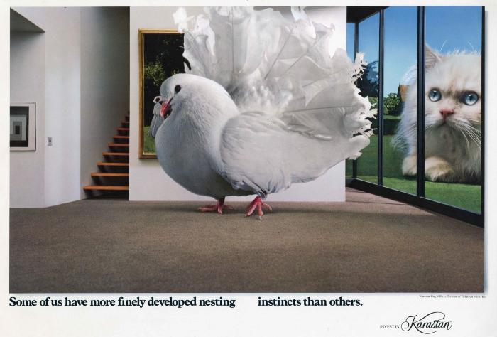 Advertisements depicts: Giant dove in a living room with a giant cat looking in from outside 