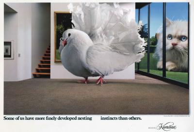 Advertisements depicts: Giant dove in a living room with a giant cat looking in from outside 