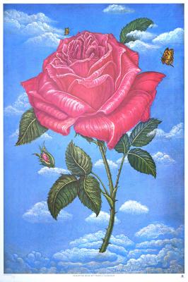 Posters depicts: Large pink rose floating in a blue sky