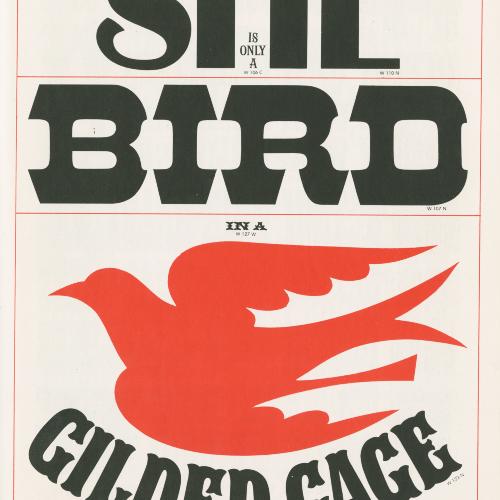 Books, Type Specimens depicts: Type specimen reading "She is only a bird in a gilded cage" with a red bird