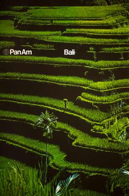 Posters depicts: Green grassy landscape in a step arrangement